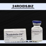 NANDROBOLIN-10ML